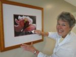 Healing Petals|CHM Sister’s flower photographs designed to foster prayer, healing