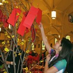 Vietnamese observe Lunar New Year