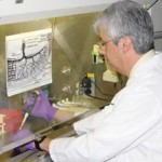 Campaign will fund ethical stem-cell research