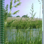 ‘Spirit of the Prairie’ cookbook caters to the soul
