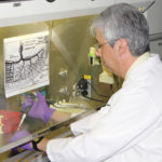 Teaming up for private stem-cell biobank