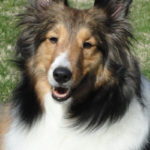 Maggie Sue's dogmatic theology: Which virtues rank highest and lowest?