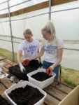 St. Ambrose students plunge into service
