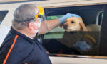 Drive-through events boost morale at St. Mary Parish in Solon