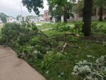 Derecho storm leaves destruction in Iowa