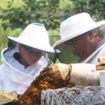 Celebrate World Bee Day
