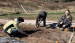 Spring break service makes an impact