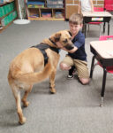 Facility dog ‘Bandit’ joins staff at JFK School
