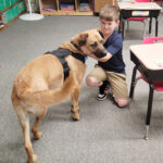 Facility dog ‘Bandit’  joins staff at JFK School