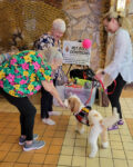 Pet ministry: caring for God’s creatures