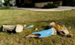 Statues destroyed at Sigourney parish