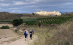 Wisdom gained on the Camino pilgrimage